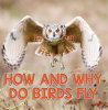 How_and_Why_Do_Birds_Fly